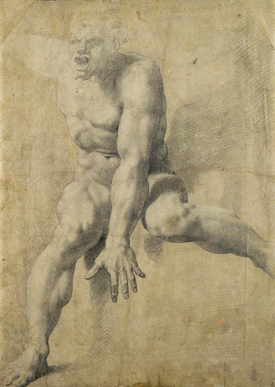 Polyphemus (černá křída na papíře) od Pellegrino Tibaldi