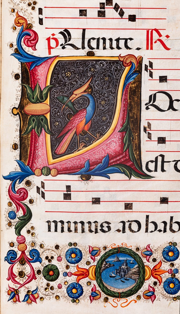 Knihovna Piccolomini: sborová kniha, treska. 5.E, násl. 63r s „foliovanou iniciálou“, Pellegrino di Mariano. Detail. od Pellegrino di Mariano