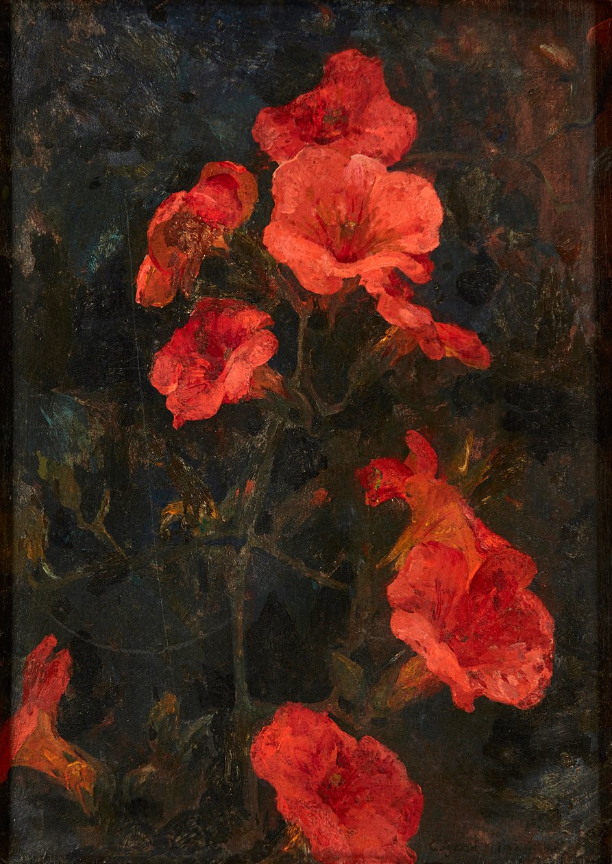 Východ slunce nad vodou (akvarel) od Percy French