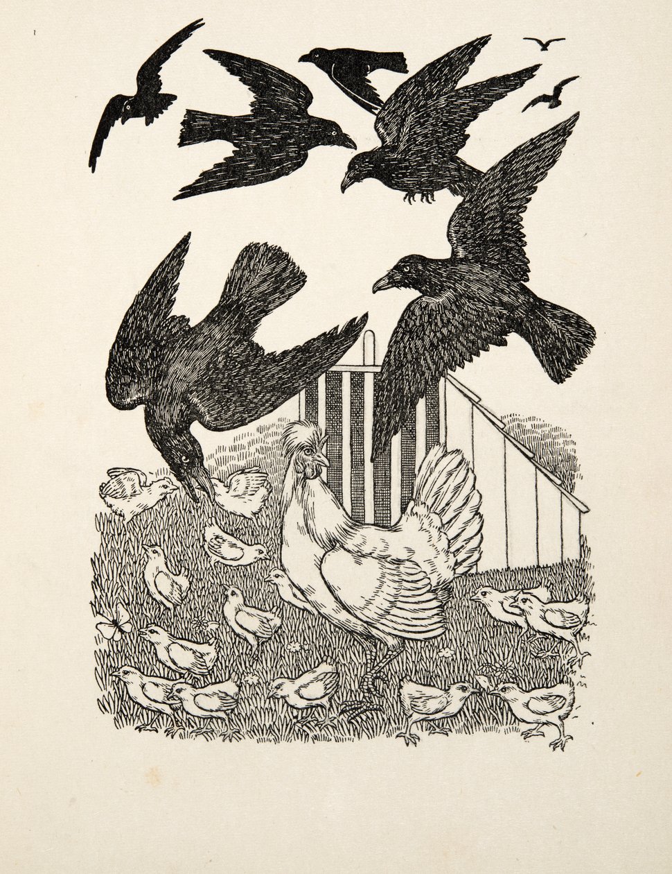 Vypočítavá vrána, ze Sto anekdot o zvířatech, pub. 1924 od Percy J. Billingshurst