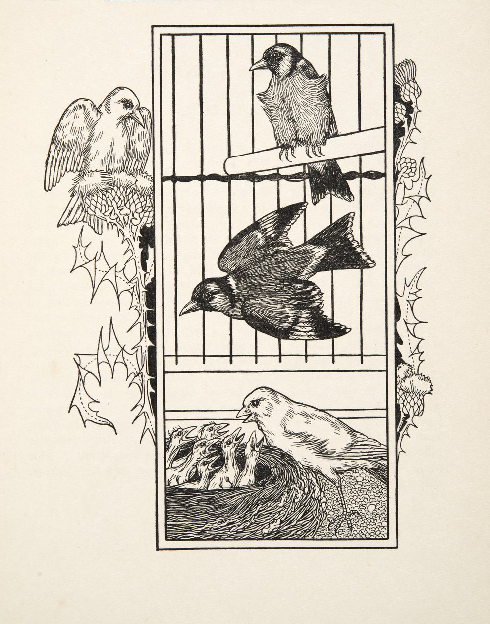 Dobročinný kanár, ze sta anekdot o zvířatech, hospoda. 1924 od Percy J. Billingshurst