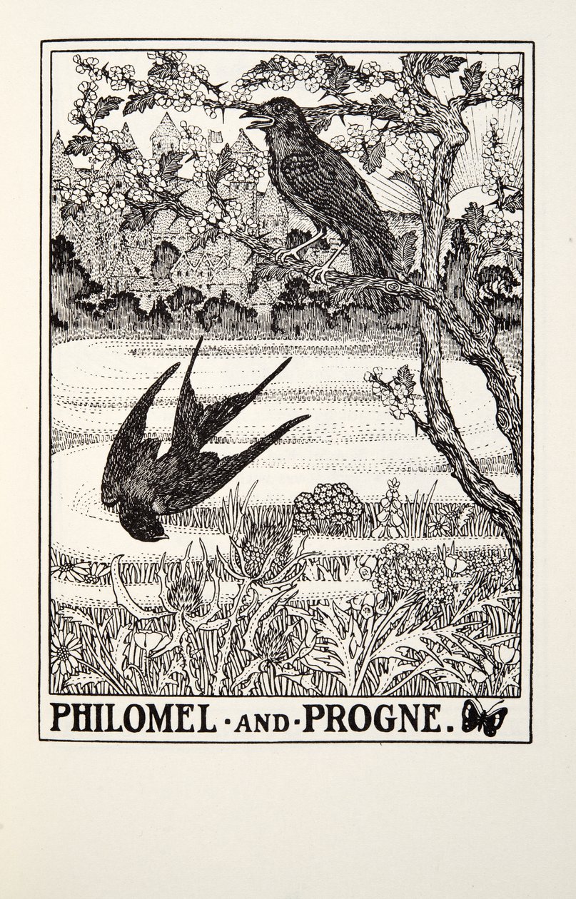 Philomel a Progne, z Fontaine Fables, hospoda. 1905 od Percy J. Billingshurst