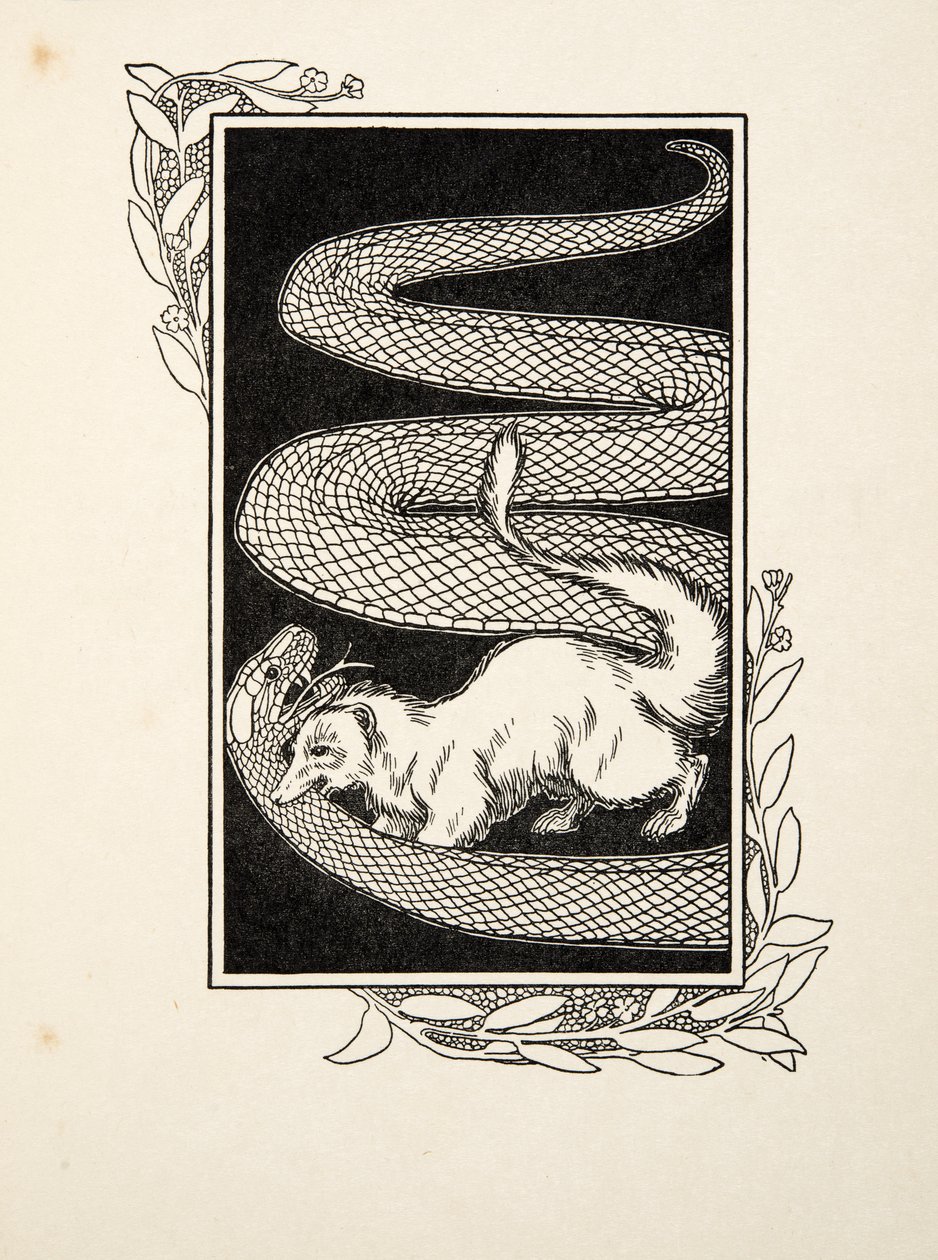 Snake Destroyers, od Sto anekdot o zvířatech, hospoda. 1924 (rytina) od Percy J. Billingshurst