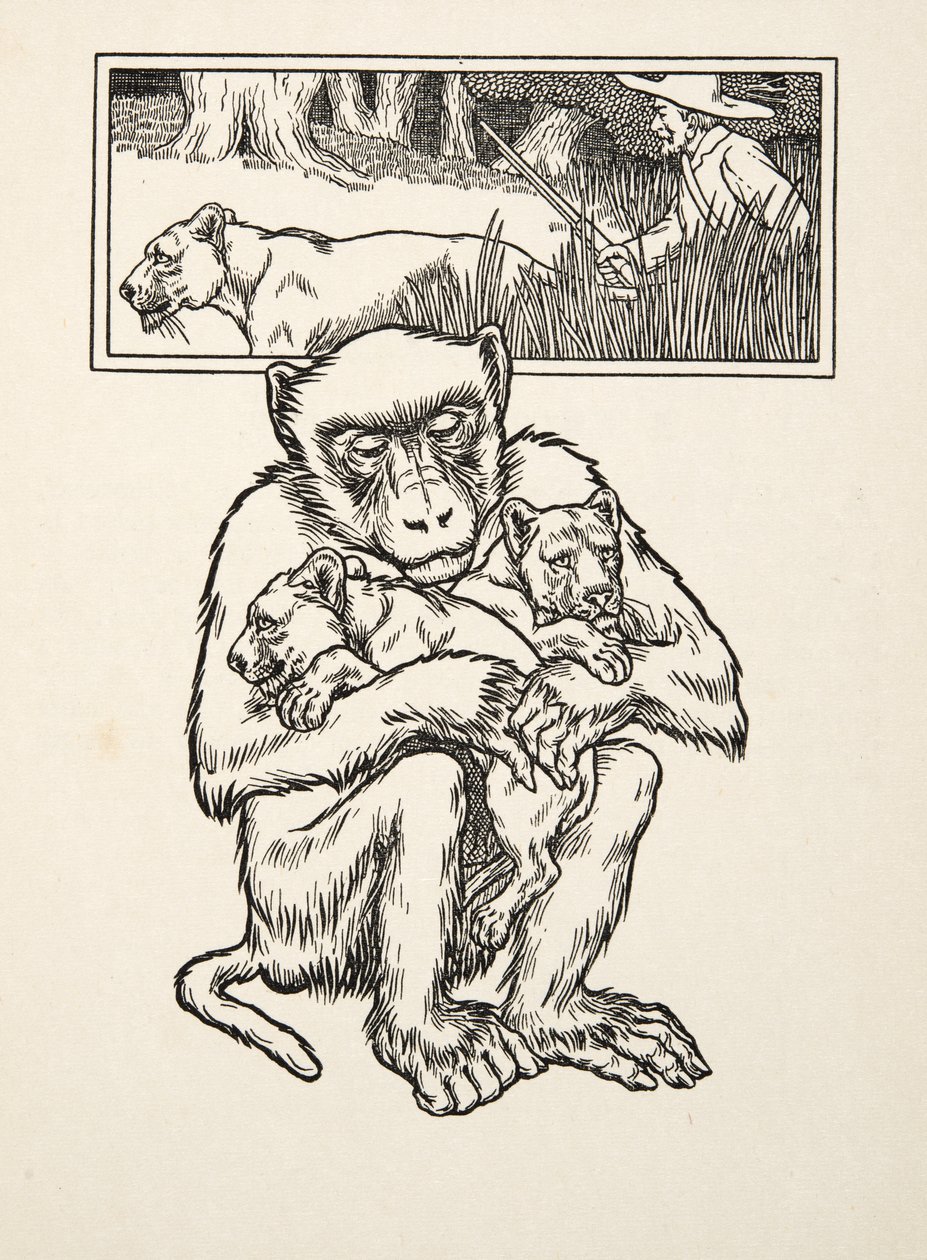 Soliciting Succour, od Sto anekdot o zvířatech, pub. 1924 (rytina) od Percy J. Billingshurst