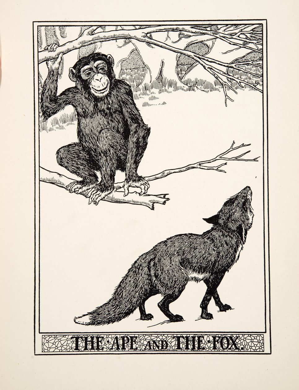 Opice a liška, ze sta Ezopových bajek, pub. 1903 (rytina) od Percy J. Billingshurst