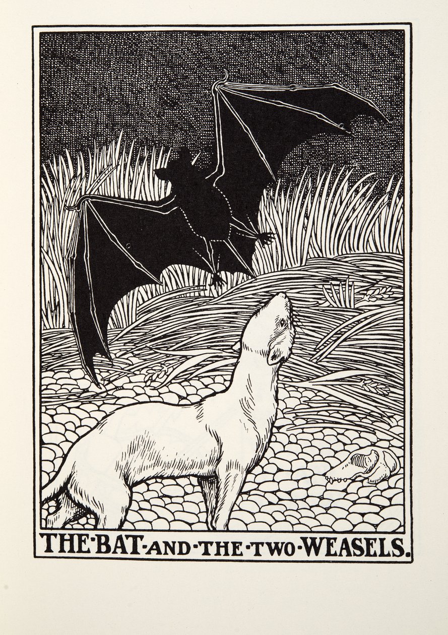 The Bat and the Two Weasels, od Fontaine Fables, hospoda. 1905 od Percy J. Billingshurst
