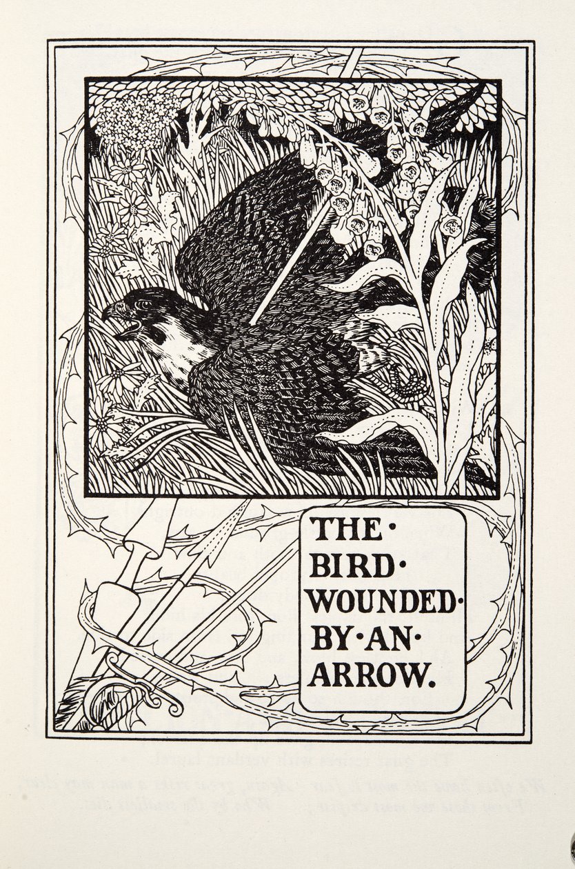 The Bird Wounded by Arrow, od Fontaine Fables, hospoda. 1905 od Percy J. Billingshurst