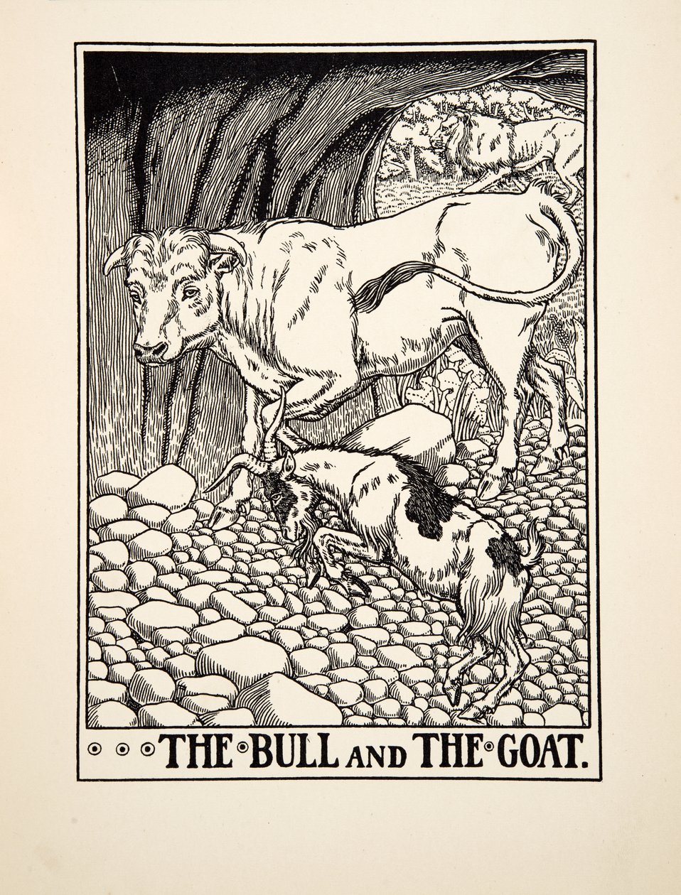 Býk a koza, ze Sto Ezopových bajek, pub. 1903 (rytina) od Percy J. Billingshurst