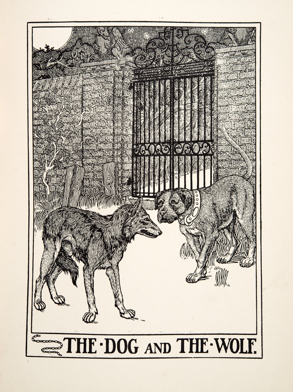 Pes a vlk, ze sta Ezopových bajek, pub. 1903 (rytina) od Percy J. Billingshurst