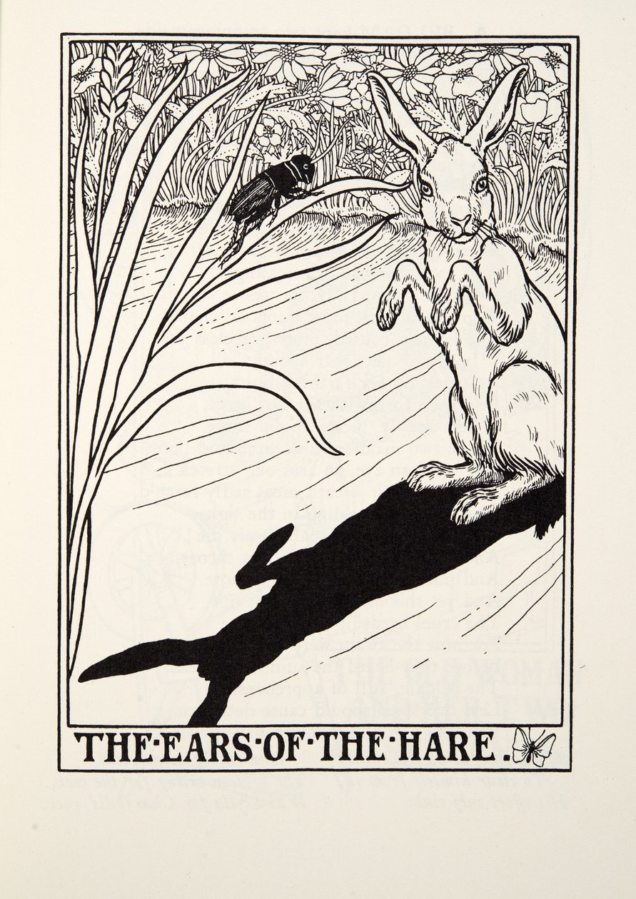 The Ears of the Hare, from Fontaine Fables, pub. 1905 od Percy J. Billingshurst