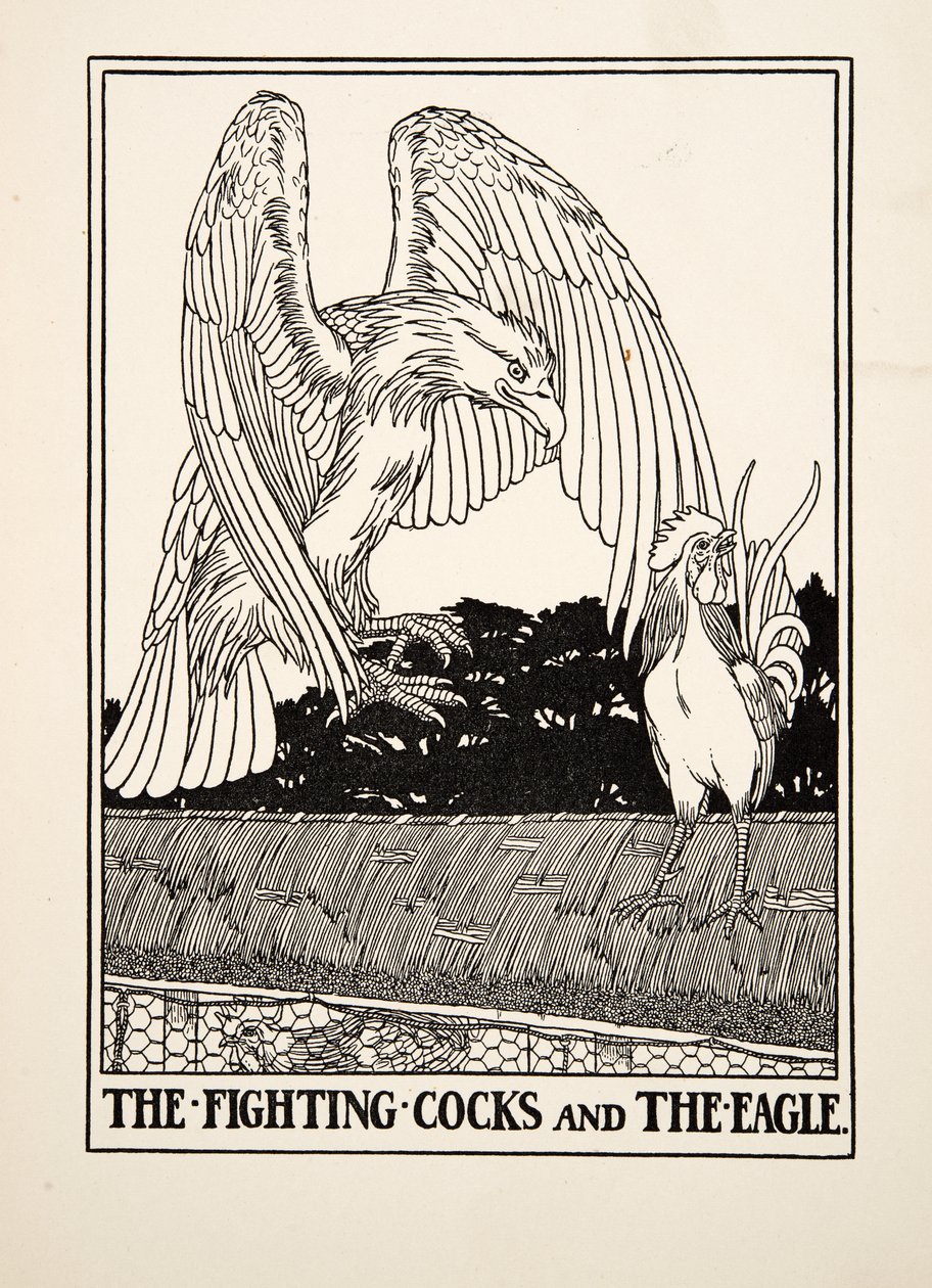 The Fighting Cocks and the Eagle, ze Sto bajek Ezopových, pub. 1903 od Percy J. Billingshurst
