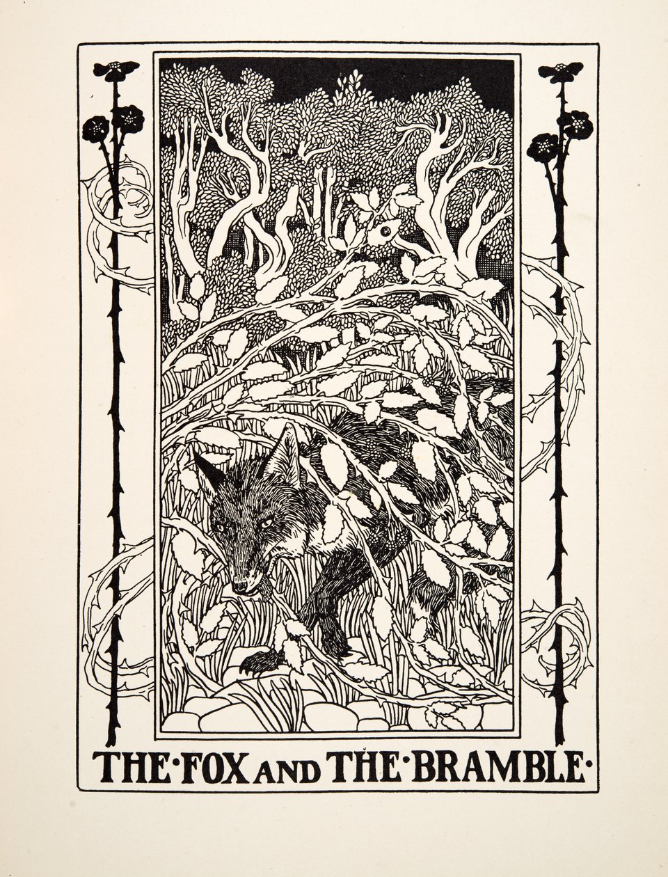 Liška a ostružiník, ze sta Ezopových bajek, pub.1903 od Percy J. Billingshurst