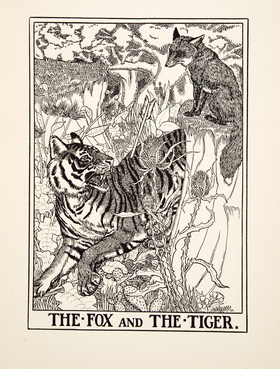 Liška a tygr, ze sta Ezopových bajek, pub. 1903 (rytina) od Percy J. Billingshurst