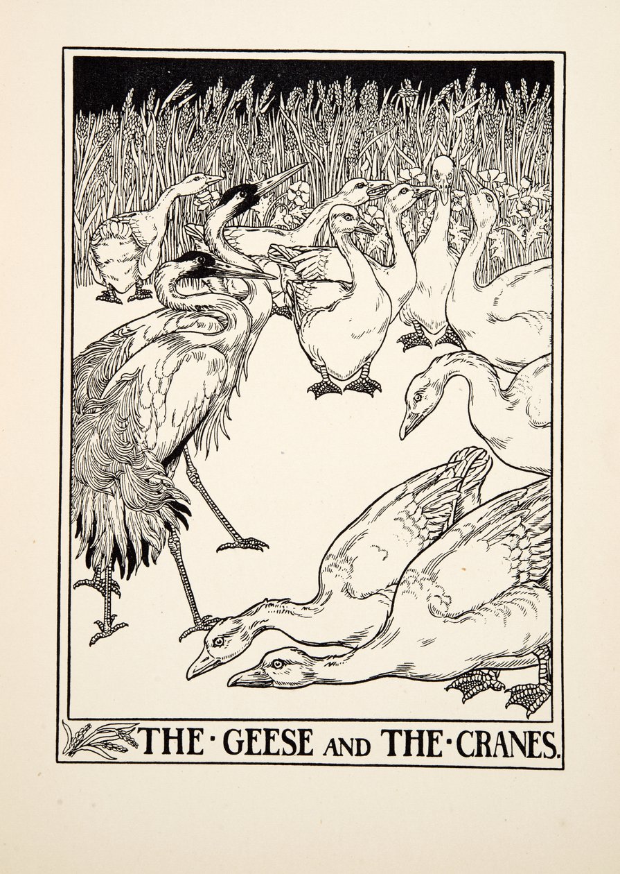 Husy a jeřábi, ze Sto Ezopových bajek, pub.1903 od Percy J. Billingshurst