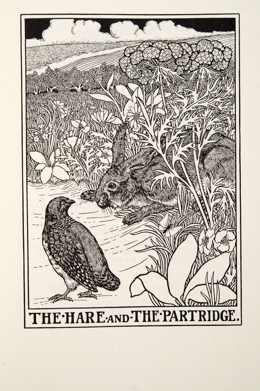 The Hare and The Partridge, z Fontaine Fables, hospoda. 1905 od Percy J. Billingshurst