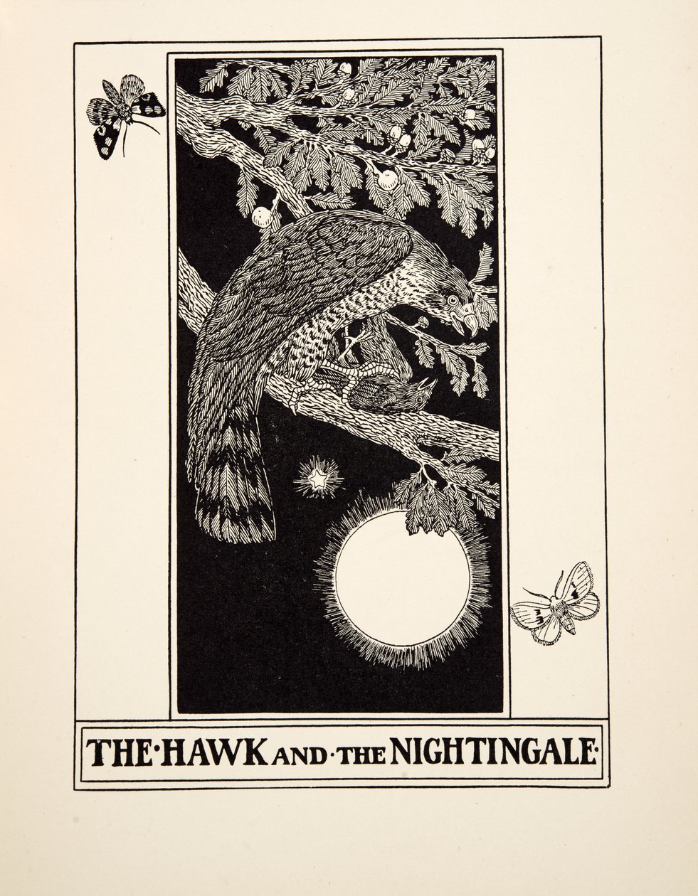 Jestřáb a slavík, ze Sto Ezopových bajek, pub.1903 od Percy J. Billingshurst