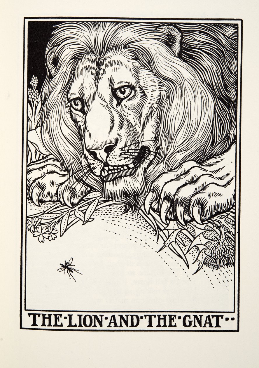 The Lion and the Gnat, from Fontaine Fables, pub. 1905 od Percy J. Billingshurst