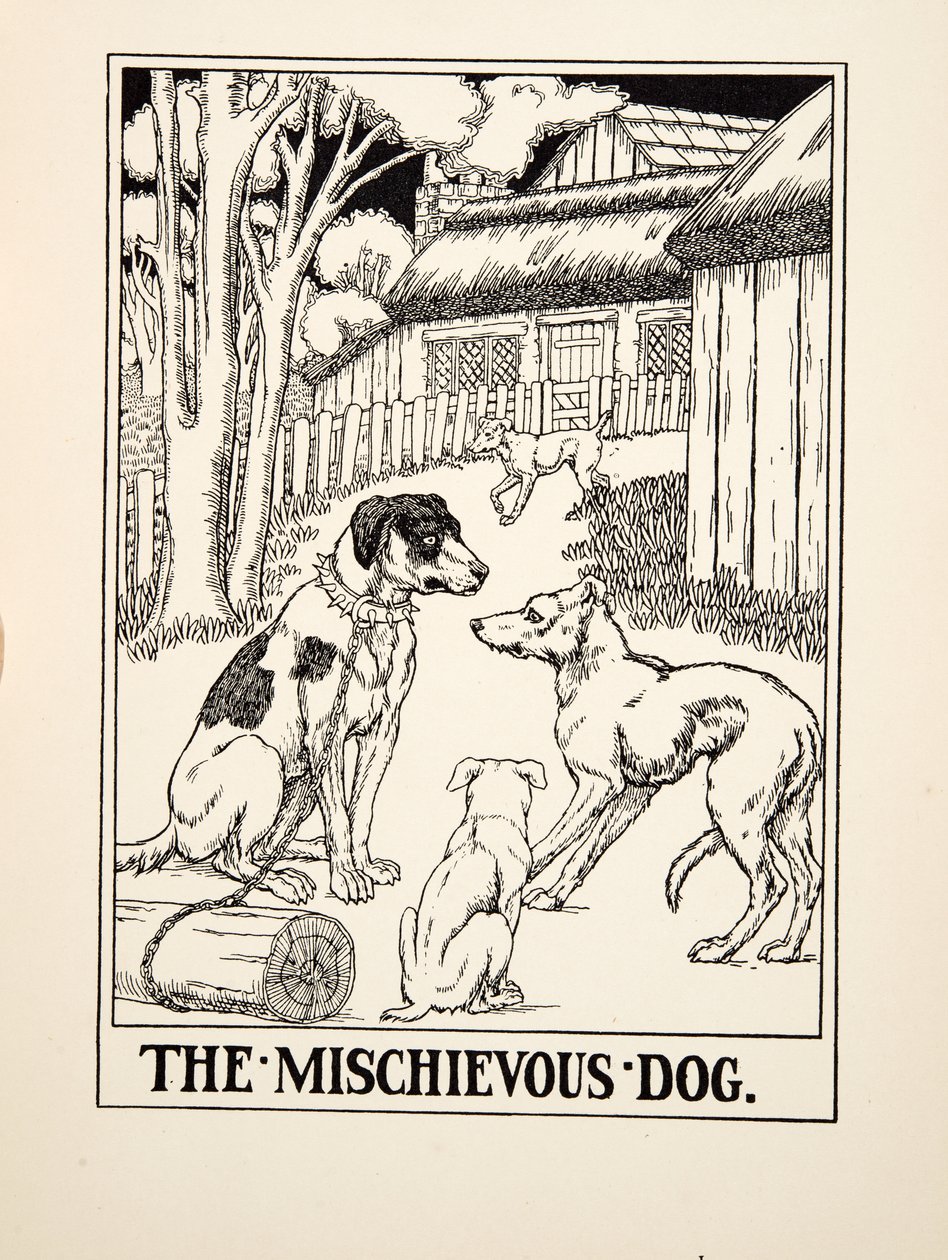 Zlomyslný pes, ze sta Ezopových bajek, pub. 1903 (rytina) od Percy J. Billingshurst