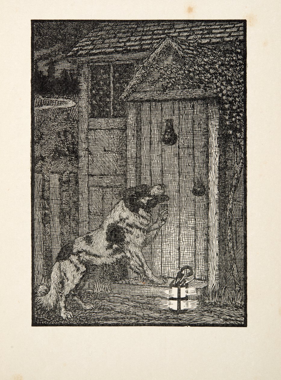 The Newfoundland Dog, ze Sto anekdot o zvířatech, hospoda. 1924 od Percy J. Billingshurst