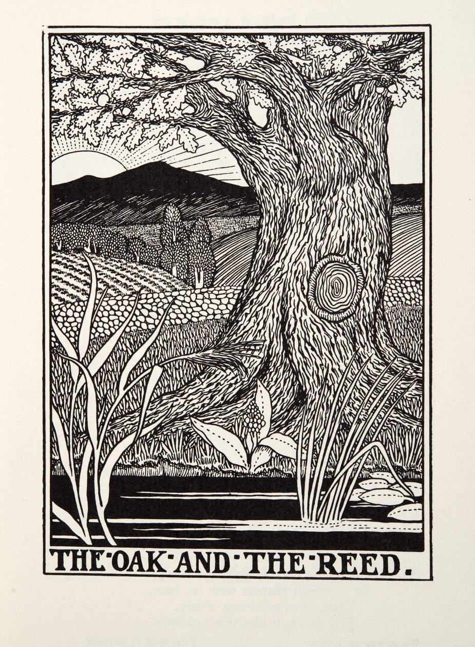 The Oak and the Reed, from Fontaine Fables, pub. 1905 od Percy J. Billingshurst