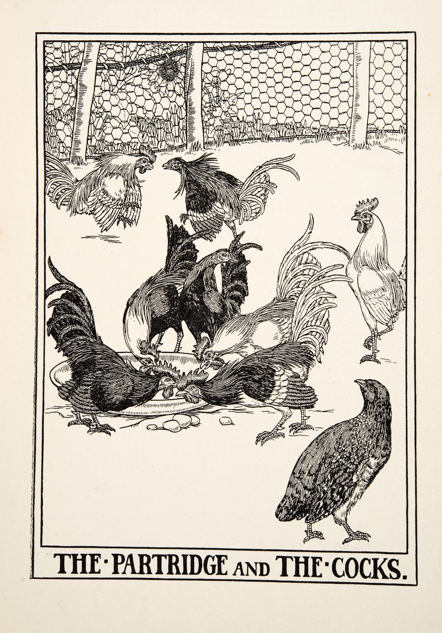 Koroptev a kohouti, od Sto bajek Ezop, pub.1903 od Percy J. Billingshurst