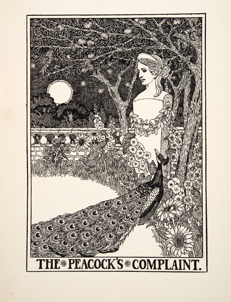 The Peacocks Complaint, from A Hundred Bajky of Ezop, pub.1903 od Percy J. Billingshurst