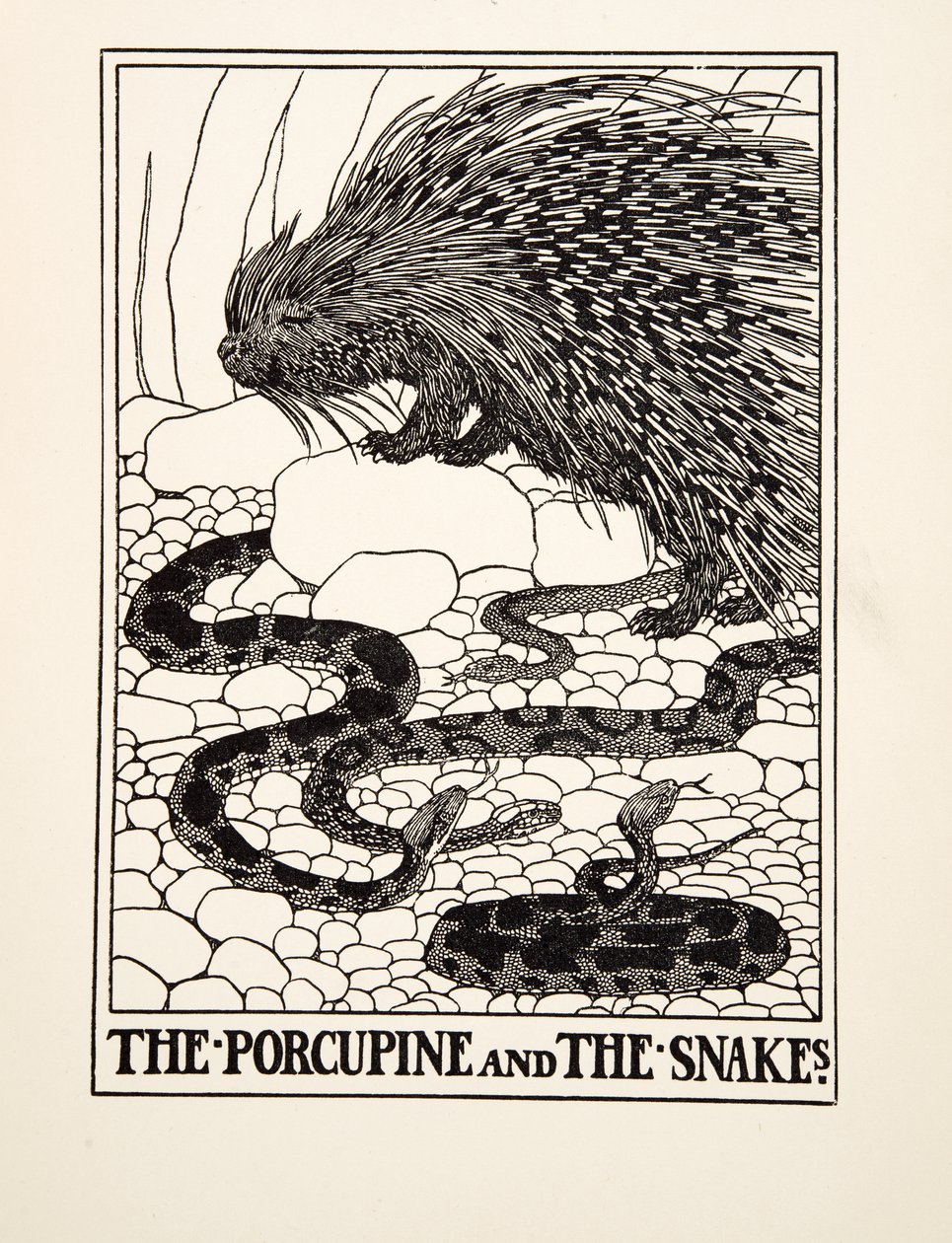 Dikobraz a hadi, ze sta Ezopových bajek, pub. 1903 (rytina) od Percy J. Billingshurst