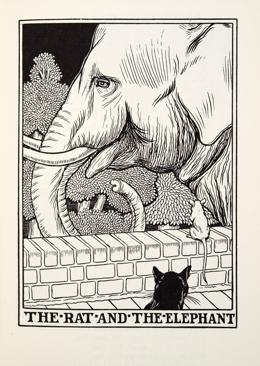 The Rat and the Elephant, from Fontaine Fables, pub. 1905 od Percy J. Billingshurst