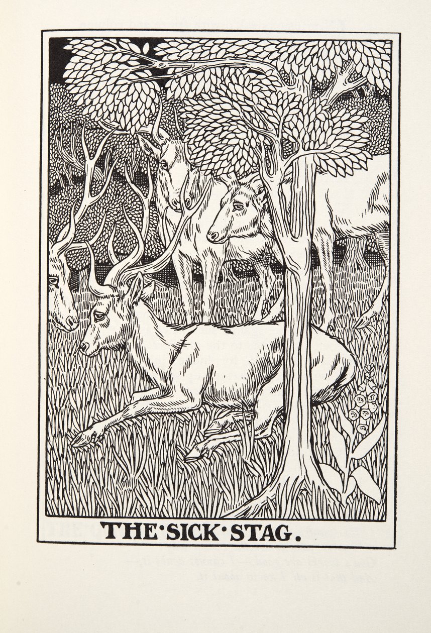 The Sick Stag, from Fontaine Fables, pub. 1905 od Percy J. Billingshurst