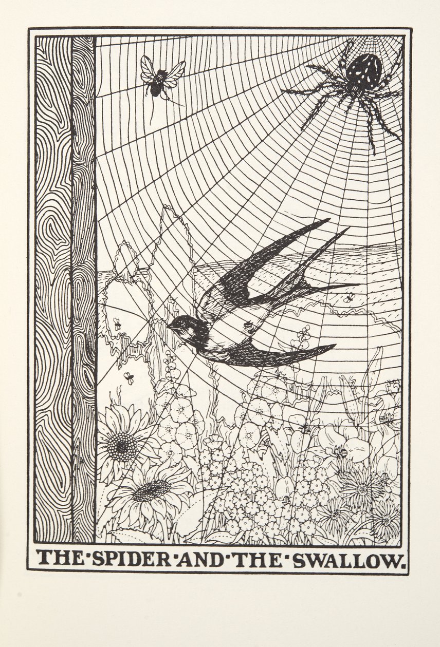 Pavouk a vlaštovka, z Fontaine Bajky, hospoda. 1905 od Percy J. Billingshurst