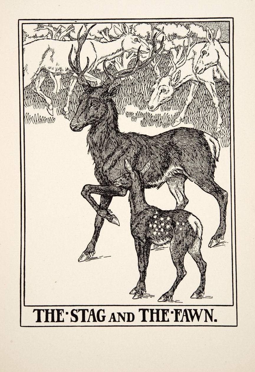 Jelen a kolouch, ze Sto Ezopových bajek, pub.1903 od Percy J. Billingshurst