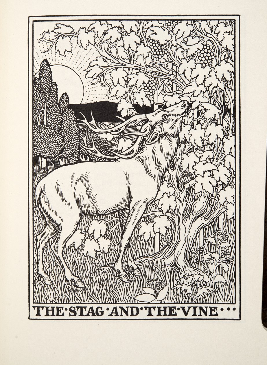 The Stag and the Vine, z Fontaine Fables, hospoda. 1905 od Percy J. Billingshurst
