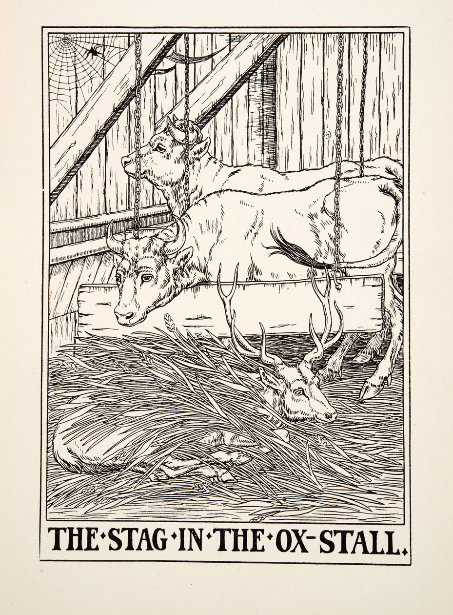 The Stag in the Ox Stall, from A Hundred Bajky of Ezop, pub. 1903 (rytina) od Percy J. Billingshurst