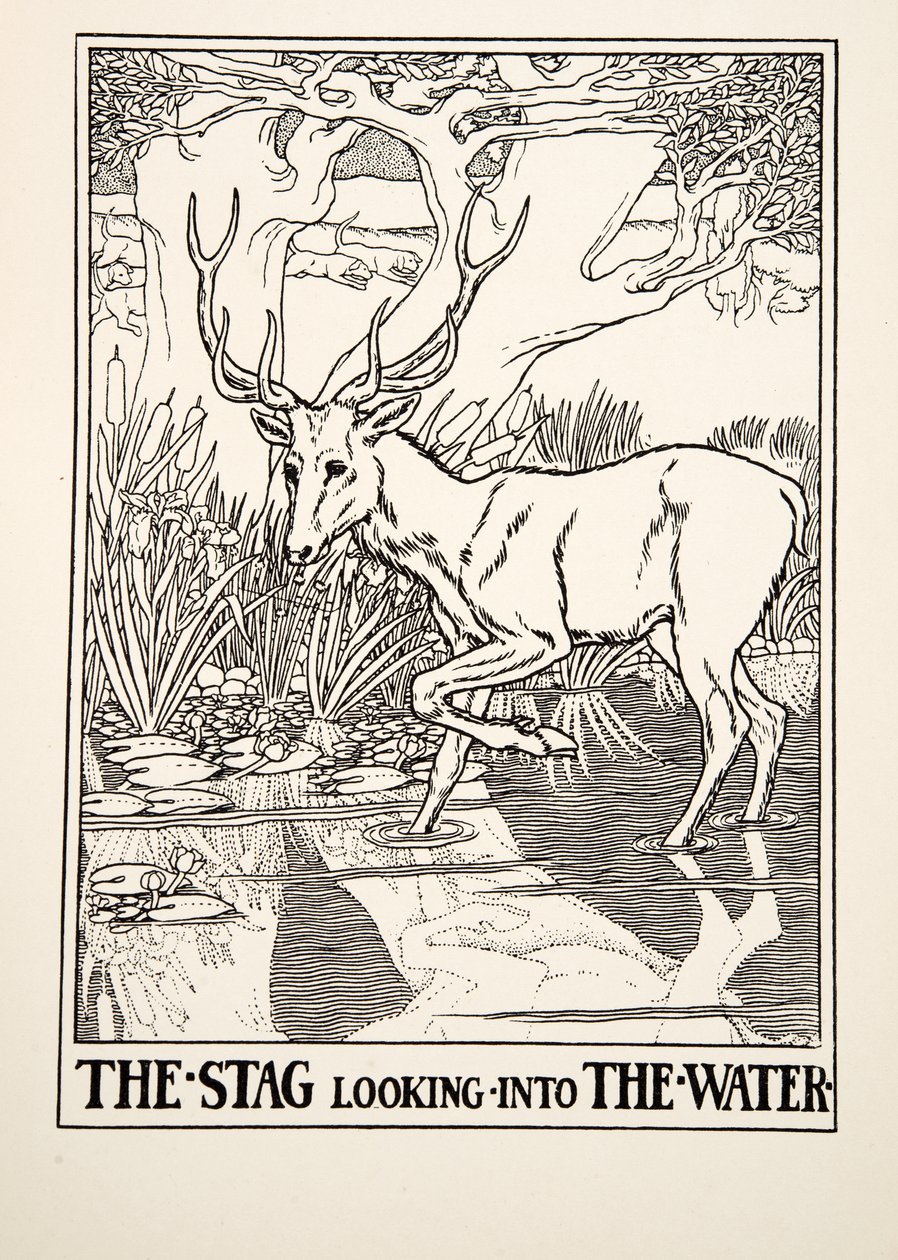Jelen hledící do vody, ze Sto bajek o Ezopovi, pub. 1903 (rytina) od Percy J. Billingshurst