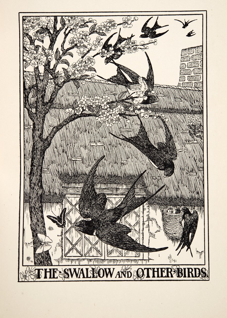 Vlaštovka a jiní ptáci, ze sta Ezopových bajek, pub. 1903 od Percy J. Billingshurst