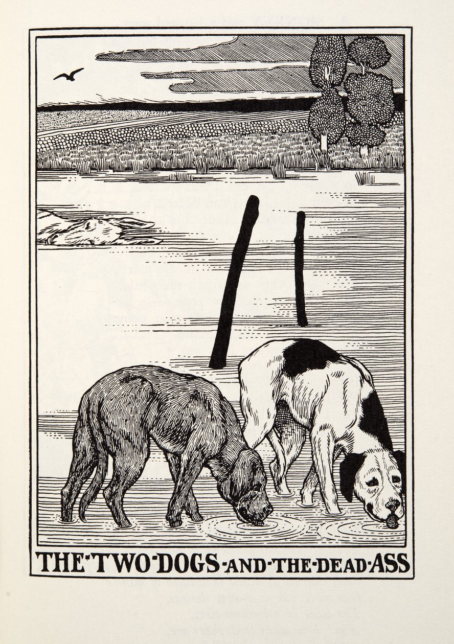 The Two Dogs and the Dead Ass, from Fontaine Fables, pub. 1905 od Percy J. Billingshurst
