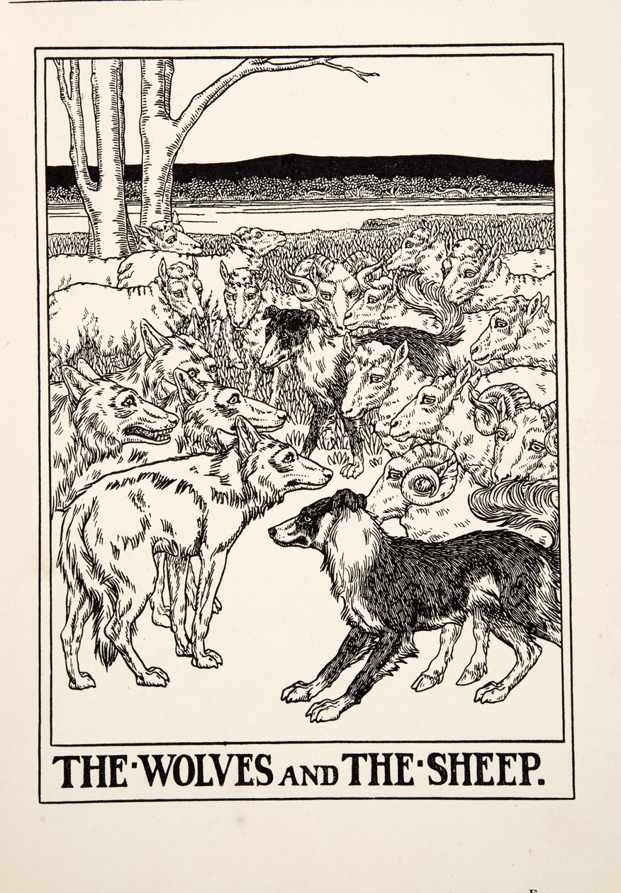 Vlci a ovce, ze sta Ezopových bajek, pub. 1903 (rytina) od Percy J. Billingshurst