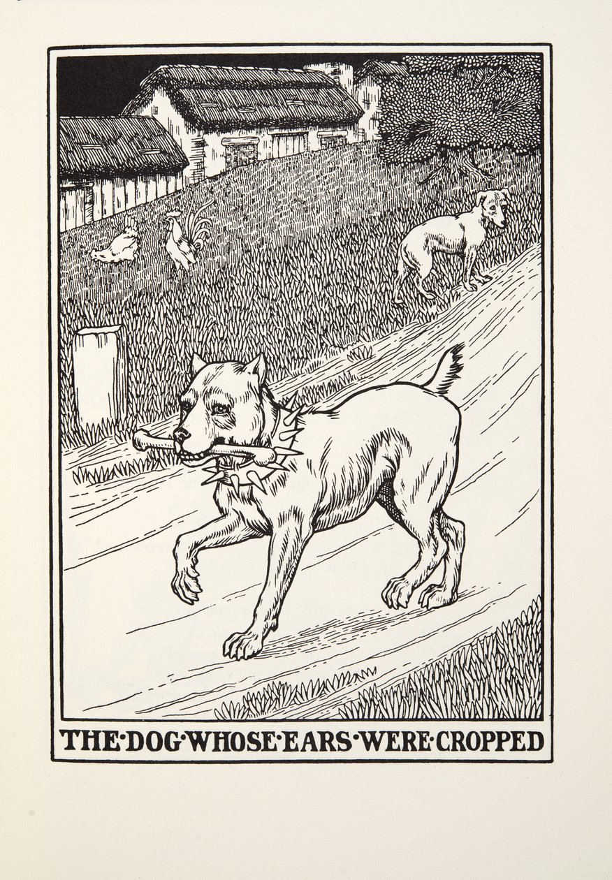 Pes, jehož uši byly kupírovány, z Fontaine Fables, hospoda. 1905 od Percy J. Billingshurst