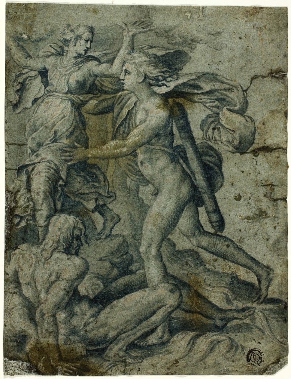 Apollo a Daphne od Perino del Vaga