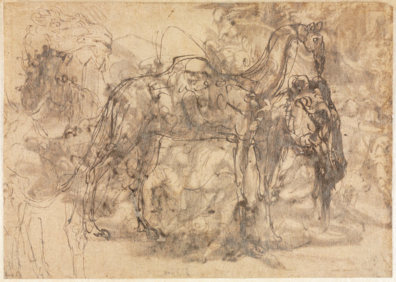 Sketches of Animals verso, c. 154547. od Perino del Vaga
