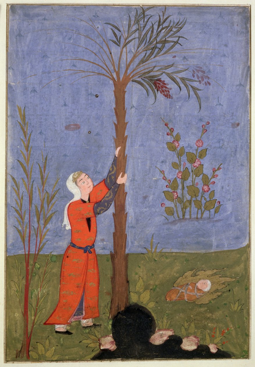 53(d) Mary Gripping the Date Palm, perská miniatura, Qazvin od Persian School