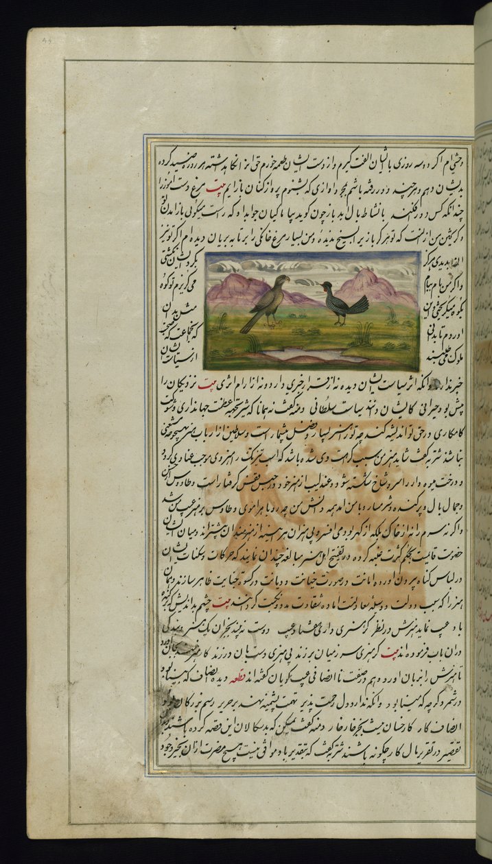 Jestřáb a slepice z Lights of Canopus od Persian School