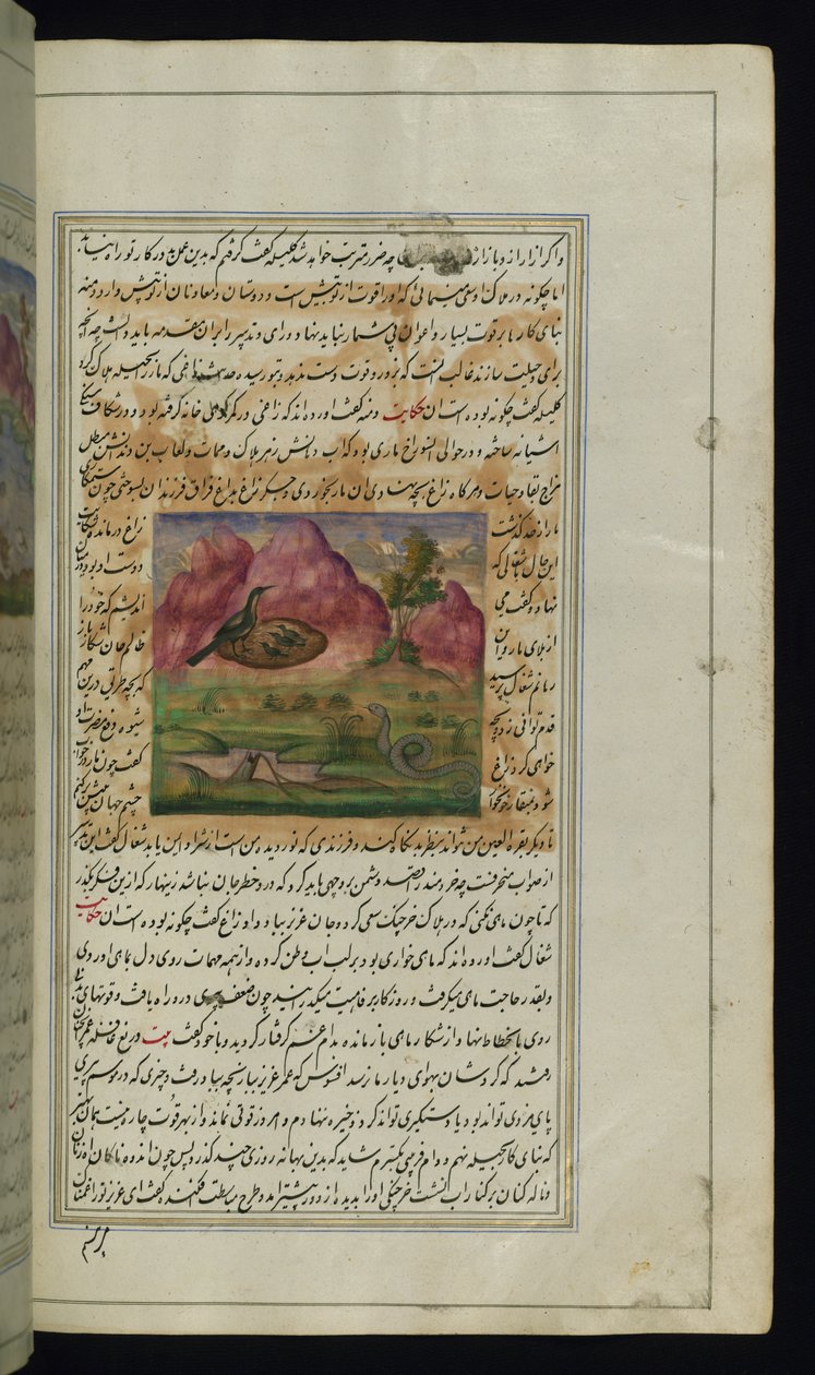 Had a vraní mláďata z Lights of Canopus od Persian School
