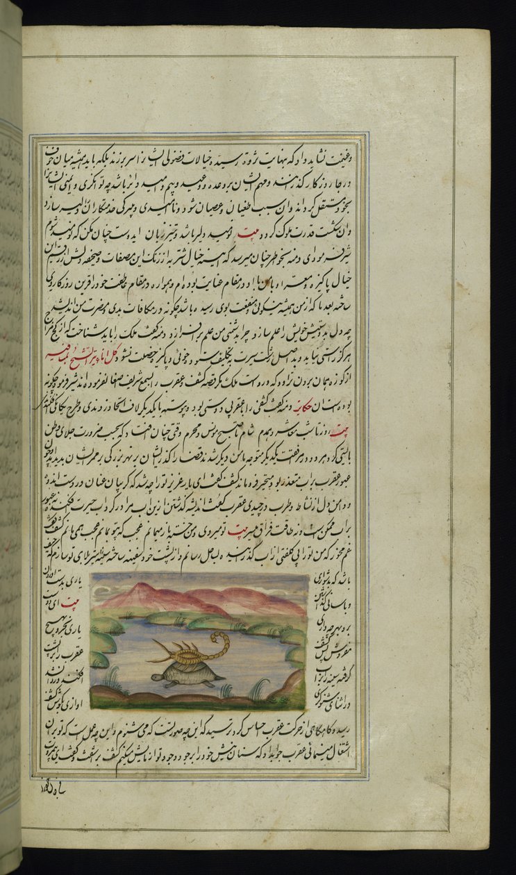 Želva nese štíra na zádech přes řeku od Lights of Canopus od Persian School