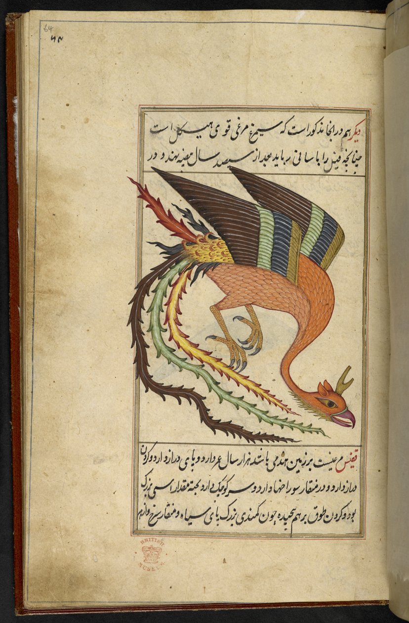 Přidat MS 15241 f.64r Simurgh, íránský thunderbird, ze sbírky rarit „Majma“ Al-ghara’ib. Sultán Muhammad Balkhi od Persian School