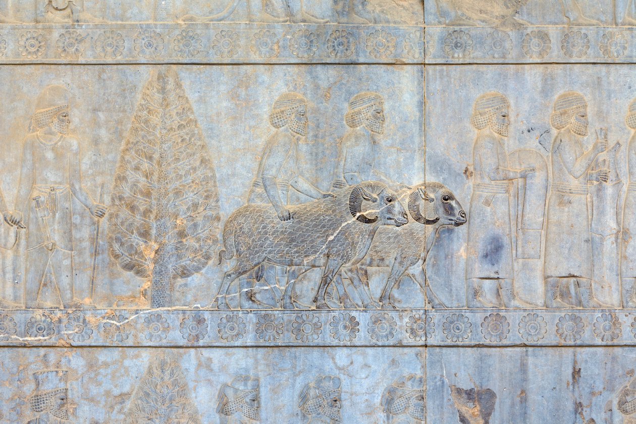 Basreliéfy na stěnách paláce Apadana a schodiště, Persepolis, Írán (pískovec) od Persian School