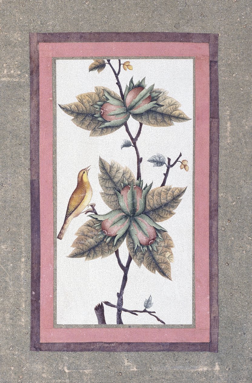 Studie ptáků a květin, kolem roku 1780 od Persian School