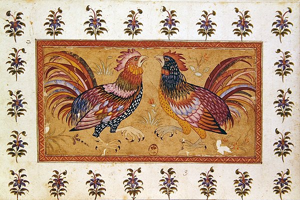 Kohouti zápas (kvaš na papíře) od Persian School