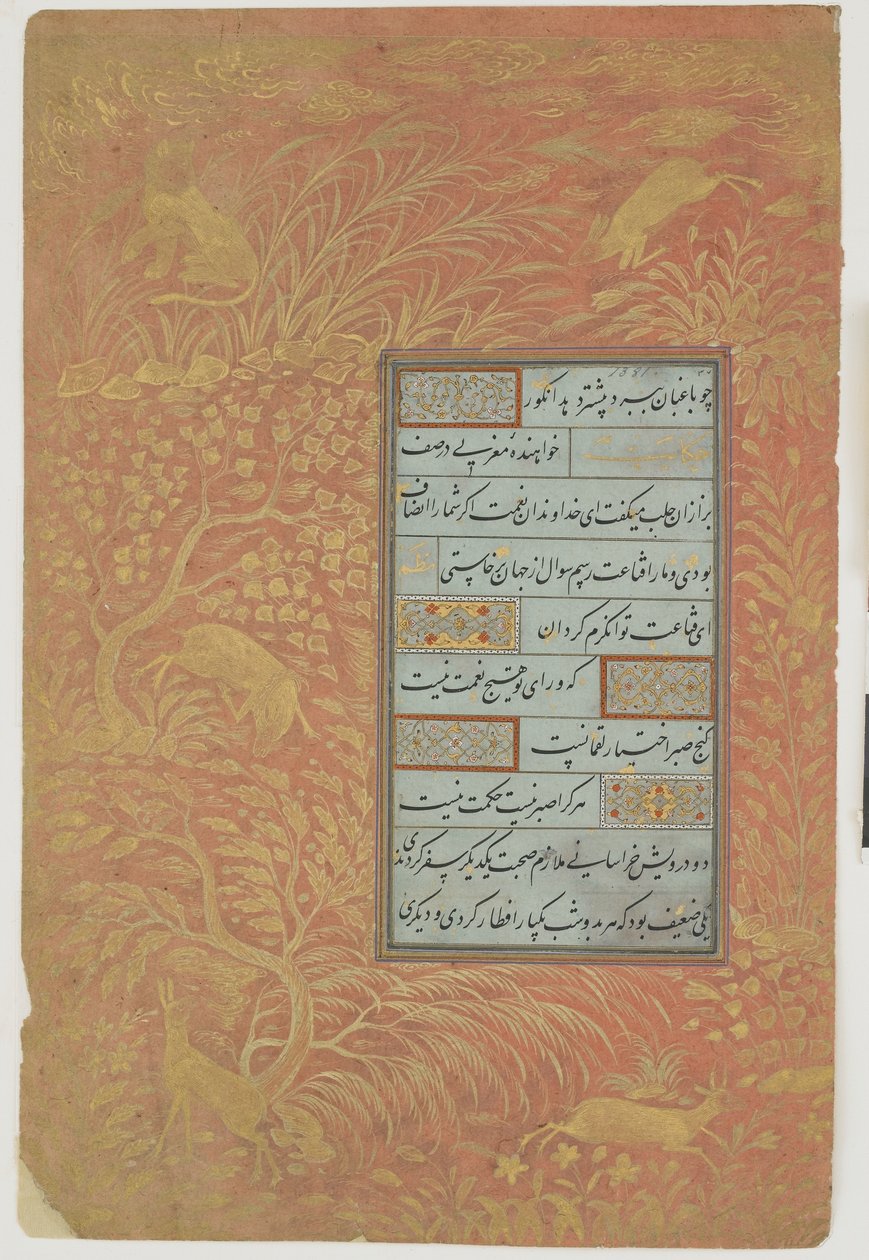 Folio kaligrafie, Írán, dynastie Safavidů (inkoust, neprůhledný akvarel a zlato na papíře) od Persian School