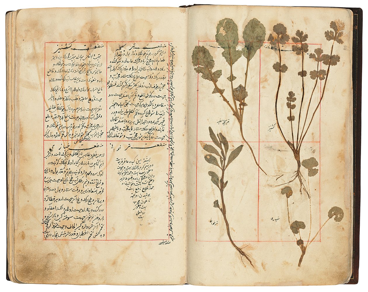 Hassan Bin Baqir Bin Jarrah: Ghalzar Al-Raihain, Qajar Iran od Persian School